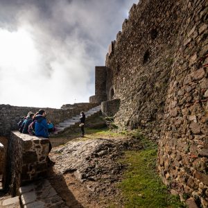 El Castell de Montsoriu se suma a La Marató de TV3